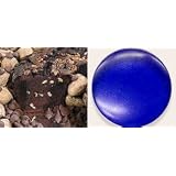 All Star Chocolate 10" Coffee Cake Blue Gift Tin by 