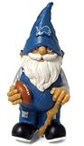 Detroit Lions 11