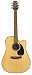Musical Instruments : EG340C Acoustic Electric Guitar