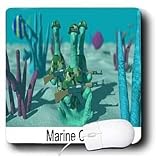 Londons Times Fish Fishing Deep Beneath Cartoons - Marine Coral Fighing 4 Our Healthy Calcium - Mouse Pads