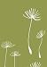 Lotta Jansdotter: Seedling Journal