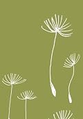 Lotta Jansdotter: Seedling Journal
