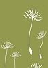 Lotta Jansdotter: Seedling Journal
