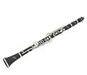 Hazelton Black Clarinet with case