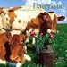 Dairyland: America's Cow Calendar 2009 Wall Calendar
