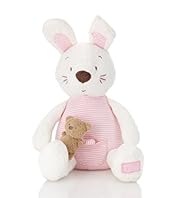 Musical Rabbit Toy