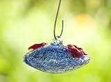 Bird Brain - Hummingbird Feeder ~ SUGAR BABY ~ Blue - Blown Glass - Hummingbird Nectar Feeder - 10101251