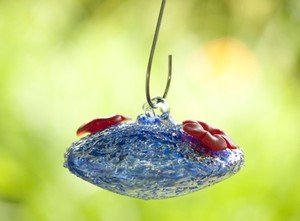 Bird Brain - Hummingbird - 10101251