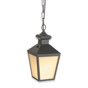 Royce Lighting RLC1245ES-09 Outdoor Convertible Lantern Black with Cream Snow Globe by