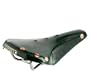 Brooks Saddles B17 Bicycle Saddle (Titanium Rails, Green)