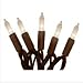 100 Brown Wire Clear Christmas Lights