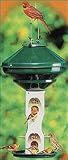 Bird Feeder, Varicraft Avian Mixed Birdfeeder Without Wire Cage