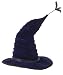 Madame Hooch Hat