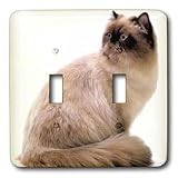 Cats - Himalayan - Light Switch Covers - double toggle switch