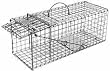 Live Animal Trap: Skunk Collapsible Single Door