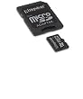 256MB Kingston MicroSD w/ SD Adapter
