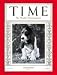 Art Poster Print - Baby Basset Hound - Artist: TIME Magazine- Poster Size: 14 X 11