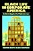Image of Black Life in Corporate America