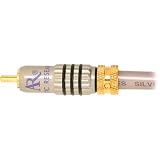 Buy Acoustic Research MS253 Audio RCA Mono Subwoofer Cable w Y-Adaptor (25 feet)