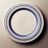 Pfaltzgraff Rio Dinner Plate