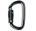 Petzl AM'D Ball-Lock Carabiner