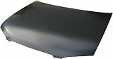 00-03 NISSAN SENTRA HOOD (2000 00 2001 01 2002 02 2003 03) N130101 F51005M030