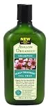 Avalon Organics Tea Tree Shampoo 11 oz. (Scalp Treatment) (3-Pack) with Free Nail File