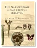 Nariokotome Homo Erectus Skeleton