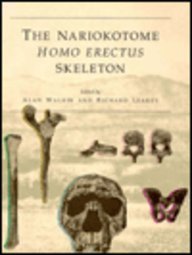 Nariokotome Homo Erectus Skeleton674601386