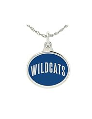 High Quality Villanova Wildcats Charm Pendant. Solid Sterling Silver with Enamel