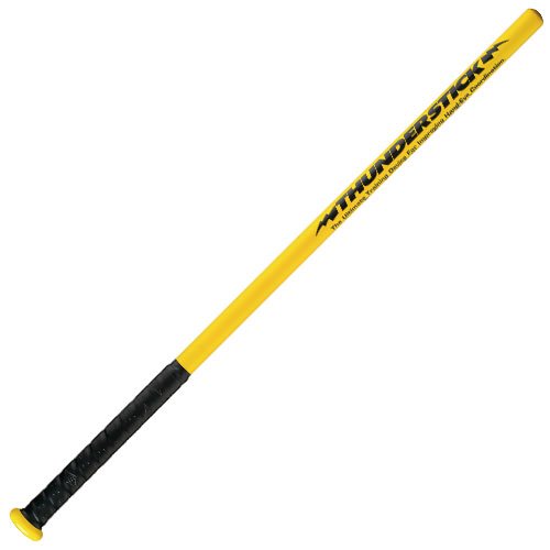 Easton Adult Thunderstick Training Bat