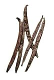 Review NUI Enterprises  / Tahitian Vanilla Beans - short