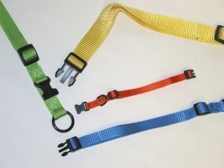 HAMILTON 16-22 IN ADJUSTABLE DOG COLLAR MANGO