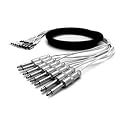 MT8BQBQ10 8 Channel TRS to TRS (10 Feet)