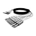 Proco MT8QQ10 8 Channel 1/4 to 1/4 (10 Feet)