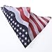 Patriotic Bandana