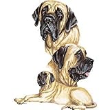Mastiff Adult T-Shirt