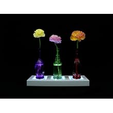 Fortune Products LB-513w Rectangle Light Base with White LED's, 13" Length x 5" Width x 1-1/4" Height
