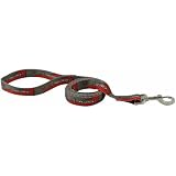 NFL Tampa Bay Buccaneers 6' Pewter-Red Pet Leash