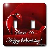 Edmond Hogge Jr Insects Ladybug Love Sweet 16 Birthday Light Switch Covers double toggle switch