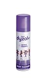 picture of Dyson Party Clean Up Kit