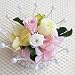 ���b�L�[�J���[�i�v���U�[�u�h�t�����[�j�v�`�A�����W�����g�y���j���E�L�O���E�a�����E�t�����[�M�t�g�E�o���z
