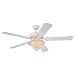 31TS   9GkL. SL75  Heartwood Ceiling Fan Light Kit