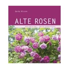 Alte Rosen