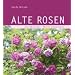 Alte Rosen
