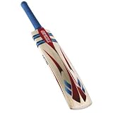 GRAY-NICOLLS Nitro Blast Junior Cricket Bat , 6