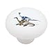 Nanshiungosaurus Dinosaur Decorative High Gloss Ceramic Drawer Knob