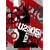 ���@�[�e�B�S 2005//���C���E�t�����E�V�J�S [DVD]