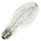 Litetronics 33640 - L-825 Light Bulb