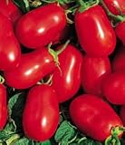 from Haddons TOMATO - Roma VF - PLUM - Italian favourite - 40 seeds